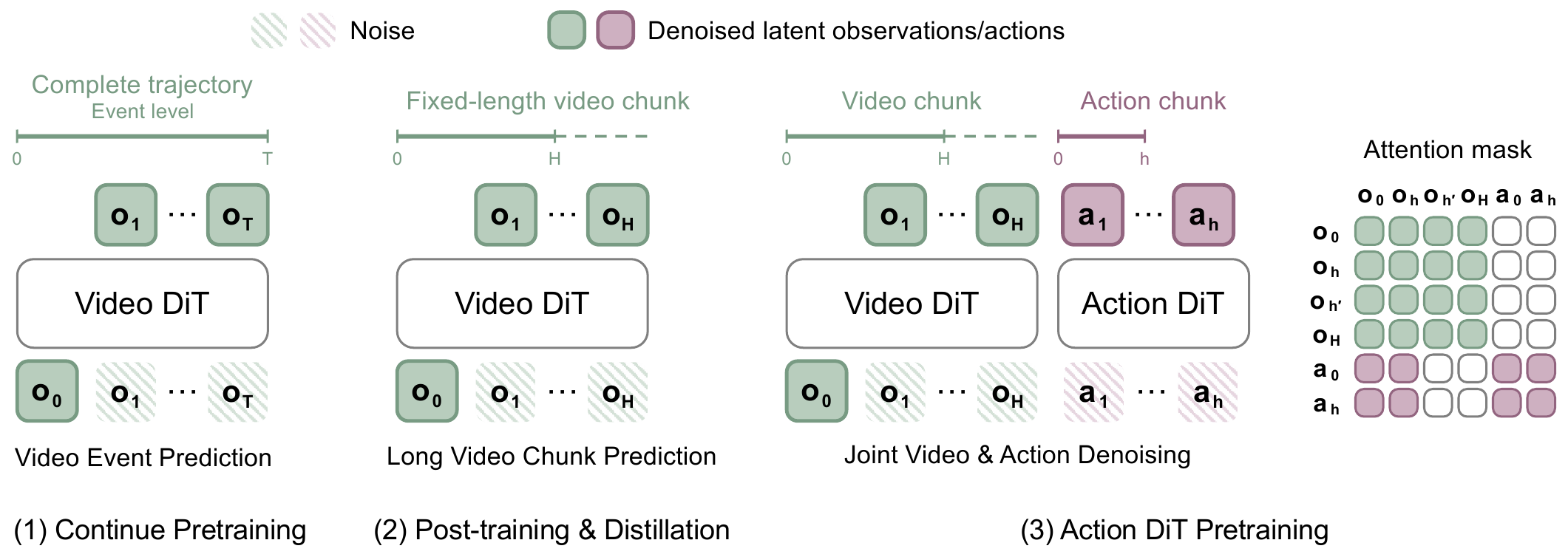 VPP2 training architecture: video pretraining, post-training and distillation, and action training